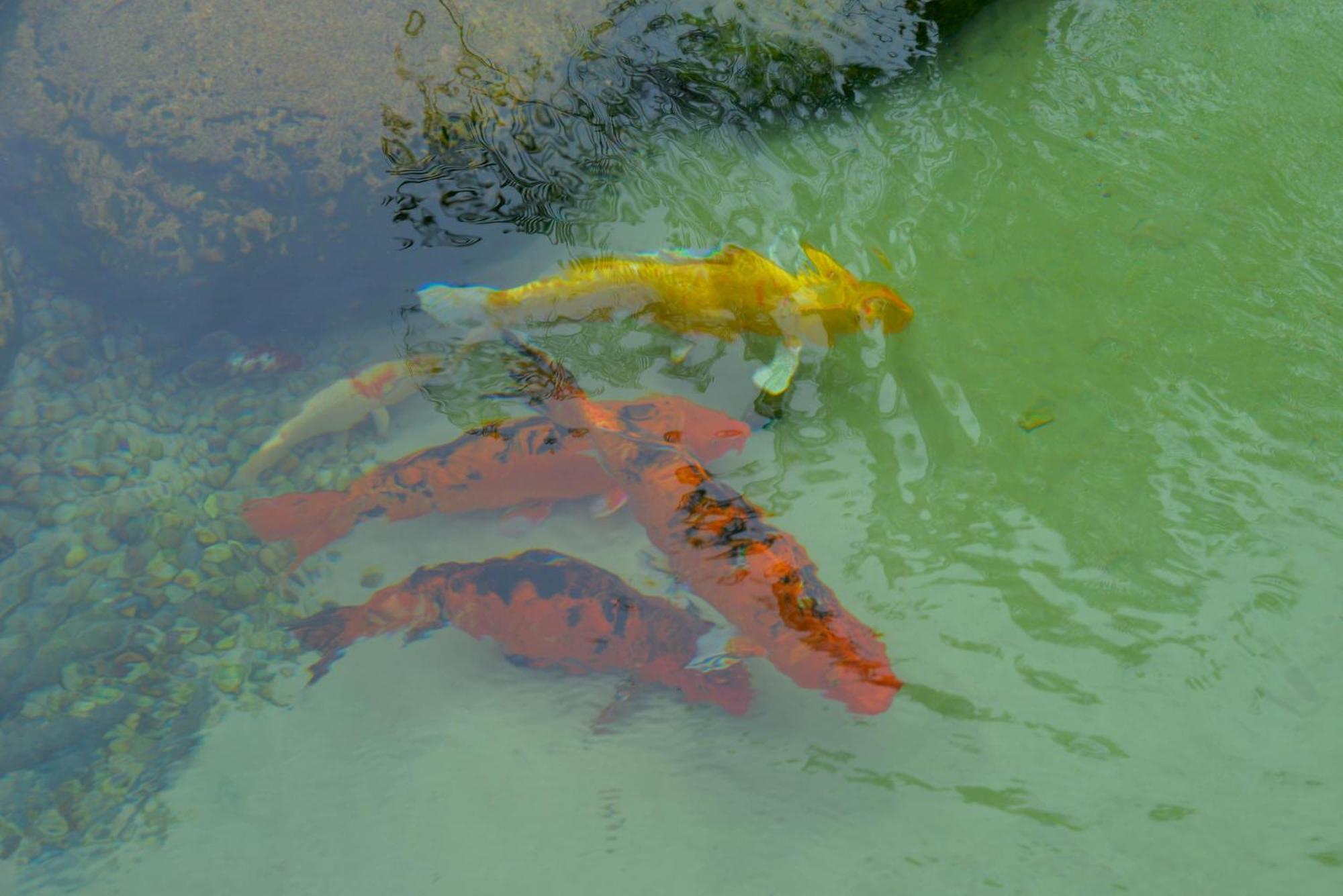 Pousada Do Lago Penedo ペネド エクステリア 写真